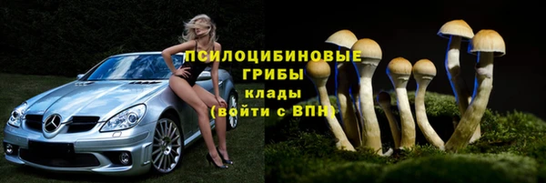 тгк Белокуриха
