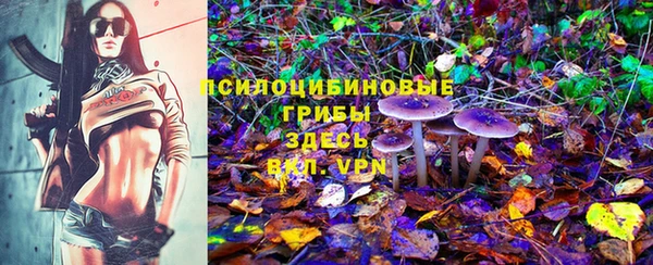 эйфоретик Беломорск