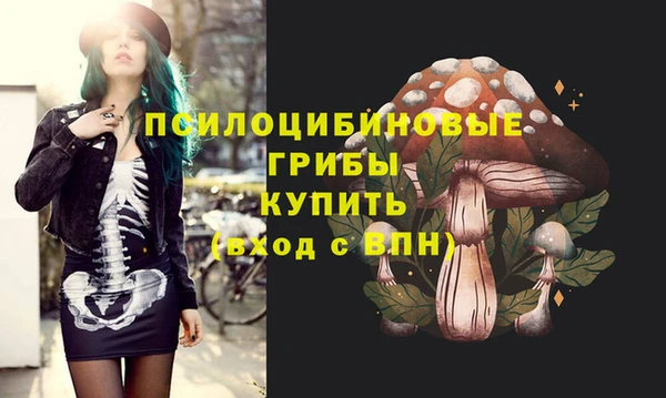 эйфоретик Беломорск