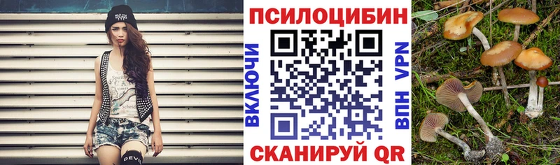 Галлюциногенные грибы GOLDEN TEACHER  мориарти наркотические препараты  Вязники 