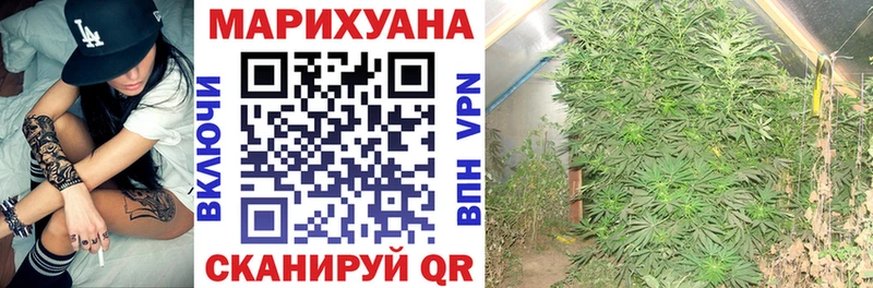 Бошки Шишки AK-47  наркошоп  Вязники 